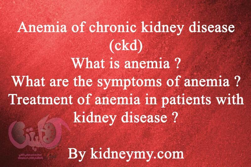 فقر الدم وأمراض الكلى المزمنة