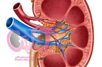 فشل الكلي الحاد مفاجئ يحدث في ساعات او أيام