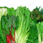 الخضراوات الورقية لتنظيف الكبد