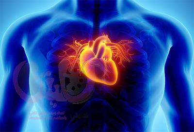 كيف تتجنب امراض القلب