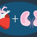 هل يؤثر غسيل الكلي على مرضي القلب 