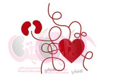 العلاقة بين أمراض القلب وأمراض الكلي وعوامل الخطر الشائعة