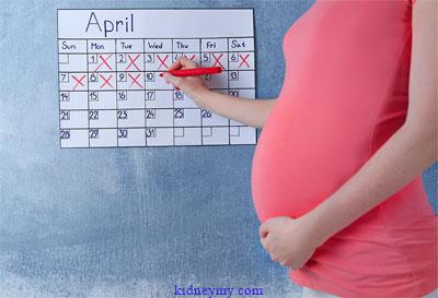 حساب الحمل بالاسابيع كيف يتم وما هي مراحل الحمل أي ما ...