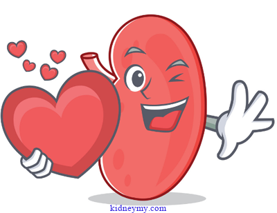 كيفية الوقاية من مشاكل القلب لمرضي الغسيل الكلوي