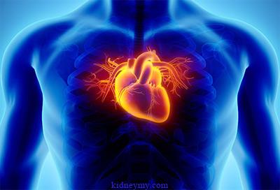 اخطر أمراض تصيب القلب تتطلب عناية طبية فائقة