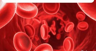 تنظيف الدم وأهميتها وبعض الطرق لتحسين نظافة الدم لإزالة السموم والفضلات