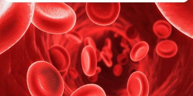 تنظيف الدم وأهميتها وبعض الطرق لتحسين نظافة الدم لإزالة السموم والفضلات