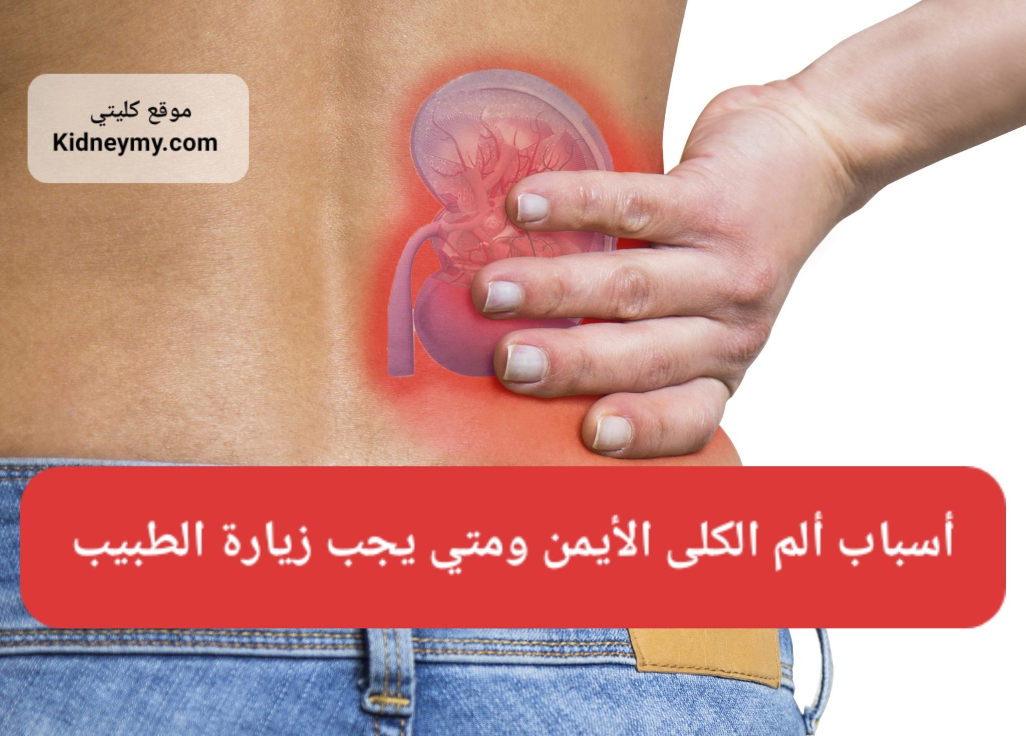 لماذا كليتي اليمني تؤلمني ومتي ازور الطبيب