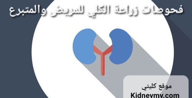 فحوصات زراعة الكلي للمريض والمتبرع