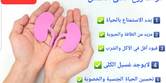 فوائد زرع الكلى الخمس حياة أطول وأفضل