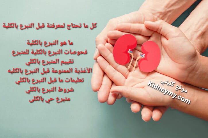التبرع بالكلية وكل ما تحتاج لمعرفتة قبل التبرع بالكلية