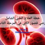 خطة العلاج الطبي الشامل لمرضي الفشل الكلوي في المرحلة الثانية