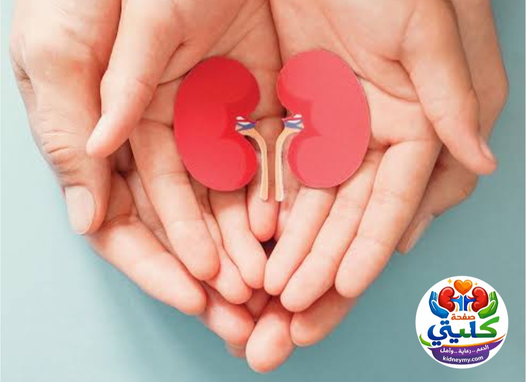 شروط التّبَرع بِالْكُلىٰ بالسعودية 2026