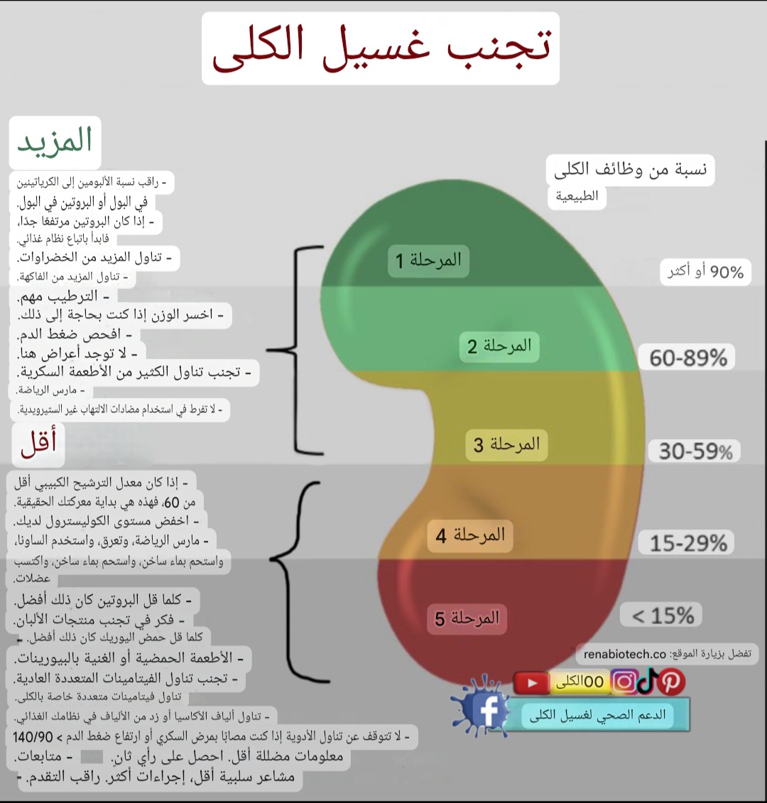دليل مراحل وظائف الكلى: كيف تفهم تحليل GFR وتتجنب غسيل الكلى؟