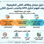 ارقام وظائف الكلى