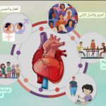 القلب والأوعية الدموية