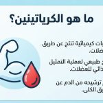 ماذا يعني الكرياتينين
