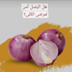 البصل وأمراض الكلي 